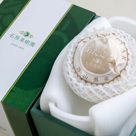 【ふるさと納税】梨 2026年 あたご梨 1玉（約900g） 贈答箱赤秀【ナシ なし 岡山県産 国産 フルーツ 果物 ギフト 石原果樹園】 | フルーツ 果物 くだもの 食品 人気 おすすめ 送料無料