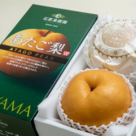 【ふるさと納税】梨 2026年 あたご梨 2玉（約1.3kg玉）化粧贈答箱赤秀【ナシ なし 岡山県産 国産 フルーツ 果物 ギフト 石原果樹園】 | フルーツ 果物 くだもの 食品 人気 おすすめ 送料無料