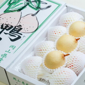 【ふるさと納税】梨 2026年 家庭用 ヤーリ― （6～13玉）約4kg 箱青秀 【岡山県産 フルーツ ギフト 石原果樹園】 | フルーツ 果物 くだもの 食品 人気 おすすめ 送料無料