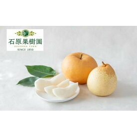 【ふるさと納税】梨 2026年 あたご梨・鴨梨（ヤーリー）詰合せ 各1玉 贈答箱赤秀【ナシ なし 岡山県産 国産 フルーツ 果物 ギフト 石原果樹園】 | フルーツ 果物 くだもの 食品 人気 おすすめ 送料無料