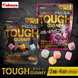 【ふるさと納税】カバヤ タフグミ 2種×6袋 計12袋（タフグミ・タフグミ グレーピーパンチ）＜集中したい時に食べたいグミブランドNo.1＞ | TOUGH グミ 12個セット グレープ 葡萄 ぶどう グレープ味 葡萄味 コーラ味 エナジードリンク味 ソーダ味 kabaya カバヤ 弾力