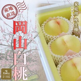 【ふるさと納税】固めの 桃 2027年 ご家庭用 岡山 の 桃 晩生種 約2kg（5～9玉）（黄金桃の場合もあります） もも モモ 岡山県 岡山市産 国産 フルーツ 果物 | もも フルーツ 果物 くだもの 食品 人気 おすすめ 送料無料