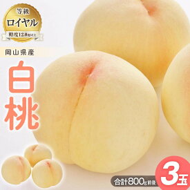 【ふるさと納税】【内容量が選べる】桃 2027年 白桃 等級: ロイヤル 糖度12.0度以上 3玉入り合計800g前後又は6玉入り合計1.2kg前後 | もも フルーツ 果物 くだもの 食品 人気 おすすめ 送料無料
