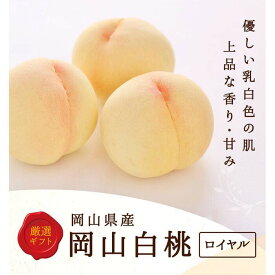 【ふるさと納税】【内容量が選べる】2027年 岡山県産 白桃5玉(1.5kg以上)～8玉(2kg以上) 等級：ロイヤル 木箱又は化粧箱入り | フルーツ 果物 くだもの 食品 人気 おすすめ 送料無料