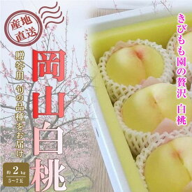 【ふるさと納税】桃 2027年 贈答用 岡山 白桃 約2kg（5～7玉） もも モモ 岡山県 岡山市産 国産 フルーツ 果物 ギフト | もも フルーツ 果物 くだもの 食品 人気 おすすめ 送料無料