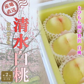 【ふるさと納税】桃 2027年 贈答用 岡山 清水 白桃 約2kg（5～7玉） もも モモ 岡山県 岡山市産 国産 フルーツ 果物 ギフト | もも フルーツ 果物 くだもの 食品 人気 おすすめ 送料無料