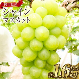 yӂ邳Ɣ[ŁzԂǂ 2025N s\ VC}XJbg 2`3[iv1.6kgȏj }XJbg uhE  R q~s Y Y t[c ʕ Mtg@ʕށEԂǂE}XJbgEt