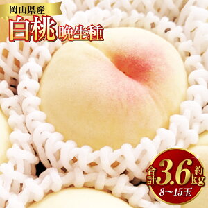 yӂ邳Ɣ[Łz 3.6kgi8`15ʁj Ӑ   R q~s Y Y t[c ʕ Mtg ԓcʁ@ʕEEEt[c@y2026N7{`9{\z