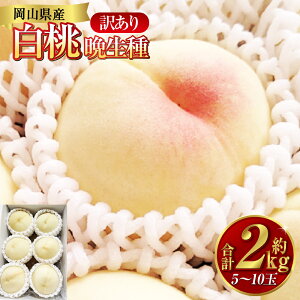 yӂ邳Ɣ[Łzs󂠂t 2kgi5`10ʁj Ӑ   R q~s Y Y t[c ʕ ԓcʁ@ʕEEEt[c@y2026N7{`9{\z