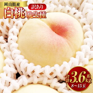 yӂ邳Ɣ[Łzs󂠂t 3.6kgi8`15ʁj Ӑ   R q~s Y Y t[c ʕ ԓcʁ@ʕEEEt[c@y2026N7{`9{\z