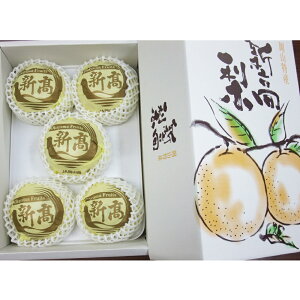 yӂ邳Ɣ[ŁzV 3.8kgi4`6ʁj ϔ Ȃ iV R q~s Y Y t[c ʕ Mtg@ ӂ邳Ɣ[  ʕ t[c  Â Y RY y2026N9{`10