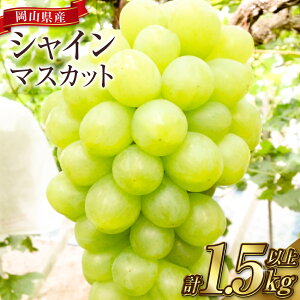 yӂ邳Ɣ[ŁzRVC}XJbg v1.5kgȏi2`4[jȏi2`4[j }XJbg uhE  R q~s Y Y t[c ʕ Mtg@ʕށEԂǂE}XJbgEt