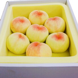 【ふるさと納税】《訳あり》家庭用 清水白桃 約2kg（6～8玉） もも モモ 岡山県 倉敷市 産 国産 フルーツ 果物 花田青果　果物・もも・桃・フルーツ　【2026年7月上旬～7月下旬迄順次発送予定】