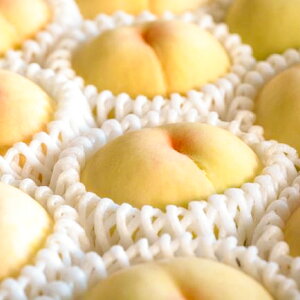 yӂ邳Ɣ[Łz 2kgi6`8ʁj   R q~s Y Y t[c ʕ Mtg ԓcʁ@ʕEEEt[c@y2026N7{`7{\z