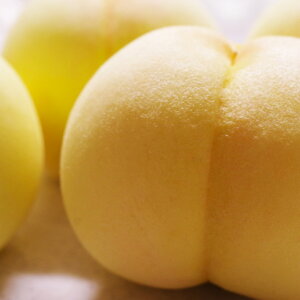 yӂ邳Ɣ[Łz 3.6kg   R q~s Y Y t[c ʕ Mtg ԓcʁ@ʕEEEt[c@y2026N7{`7{\z