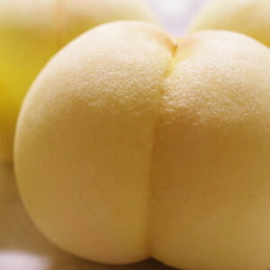 yӂ邳Ɣ[Łz󂠂  3.6kg   R q~s Y Y t[c ʕ ԓcʁ@ʕEEEt[c@y2026N7{`7{\z