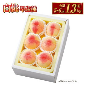 【ふるさと納税】桃 2026年 先行予約 白桃 早生種 約1.3kg 5～6玉 もも モモ 岡山県産 国産 フルーツ 果物 ギフト 果物 デザート スイーツ フルーツ 果肉 美味しい 甘い 柔らかい 上品 【2026年7月上旬～7月下旬 発送予定】