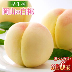 yӂ邳Ɣ[ŁzIׂeʁ 2026N s\ R   3ʁiʁEv840gj5`6ʁiv1.3kgj  RY Y t[c ʕ Mtg fU[g i  蕨y20