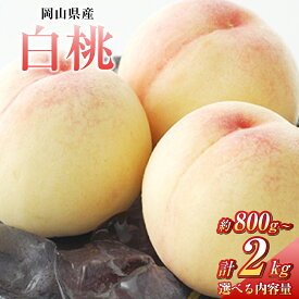 【ふるさと納税】＜選べる容量＞桃 2026年 先行予約 白桃 3玉（約800g）5玉（約1.3kg）8玉（約2.0kg）もも 岡山県産 国産 スイーツ フルーツ 果肉 美味しい 甘い 柔らかい 上品【2026年7月上旬～7月下旬まで順次発送予定】
