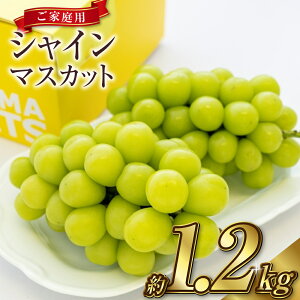 yӂ邳Ɣ[ŁzԂǂ 2025N s\ ƒp VC }XJbg 2`3[ v1.2kg uhE  RY Y t[c ʕ Mtg x Â Ȃ 嗱 lC 炲Ɓy2025N9