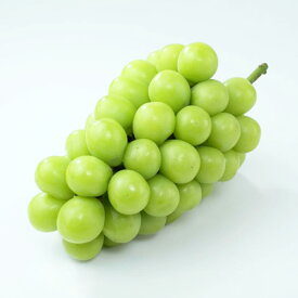 【ふるさと納税】＜選べる 容量＞ぶどう 2025年 先行予約 シャインマスカット 晴王 約700g～約1.2kg以上 1房 2房 ブドウ 葡萄 岡山県産 国産 フルーツ 果物 種なし 大粒 人気 皮ごと 【2025年9月上旬-12月下旬 発送予定】