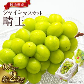 【ふるさと納税】ぶどう シャインマスカット 晴王 ＜選べる＞ 2房（1房 600g以上）化粧箱入り / 1房（700g以上） 化粧箱入り / 4房（1房480g以上） 約2kg 葡萄 フルーツ くだもの 果物 岡山県産 大粒 種なし 皮ごと 送料無料 【2026年8月下旬～10月上旬迄順次発送予定】