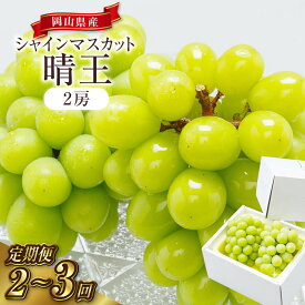 【ふるさと納税】ぶどう 定期便 シャインマスカット 晴王 1回あたり2房（1房600g以上）＜選べる定期便＞《2回／3回 定期便》葡萄 岡山県産 種なし 皮ごと 甘い 大粒 岡山県 倉敷市 送料無料 【2026年8月下旬～9月下旬迄順次発送予定】