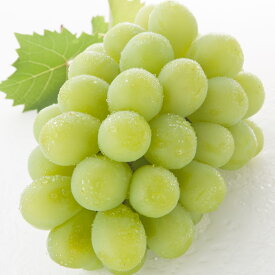 【ふるさと納税】ぶどう 先行予約 マスカットオブアレキサンドリア 1房（600g以上・秀品以上） 化粧箱入り ブドウ 葡萄 岡山県産 国産 フルーツ 果物 ギフト 岡山県 倉敷市 送料無料 【2026年7月上旬～8月下旬迄順次発送予定】