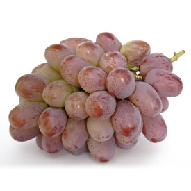 【ふるさと納税】ぶどう 先行予約 紫苑 1房（700g以上） 化粧箱入り ブドウ 葡萄 岡山県産 国産 フルーツ 果物 ギフト 岡山県 倉敷市 送料無料 【2026年10月下旬～11月下旬迄順次発送予定】