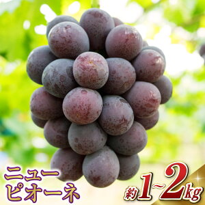 yӂ邳Ɣ[Łzy2025N8{`10{ \zss\tj[sI[l 4[/ 2[ ϔi1[ 480gȏjuhE  RY Y t[c ʕ Mtg@q~s@͂F20