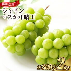 【ふるさと納税】《先行予約》シャインマスカット晴王 ＜選べる容量＞ 3～5房（約2kg） / 2房（1房 480g以上）化粧箱入り / 1房（800g以上） 化粧箱入り ブドウ 葡萄 岡山県産 国産 フルーツ 果物 ギフト 岡山県 倉敷市 送料無料 【2026年8月下旬～11月上旬迄順次発送予定】