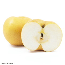 【ふるさと納税】《先行予約》あたご梨 4～7玉（約4kg） 化粧箱入り なし ナシ 岡山県産 国産 フルーツ 果物 ギフト　倉敷市【2025年11月下旬～12月下旬 発送予定】