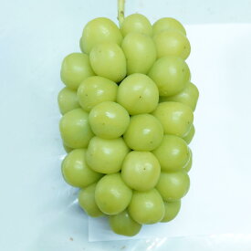 【ふるさと納税】【選べる容量】《先行予約》黒川農園自慢の大粒大房シャインマスカット 1房700g以上 1房 または 2房 ブドウ 葡萄 岡山県産 国産 フルーツ 果物 ギフト 岡山県産 産地直送 旬のフルーツ 【2026年10月上旬～10月下旬 発送予定】