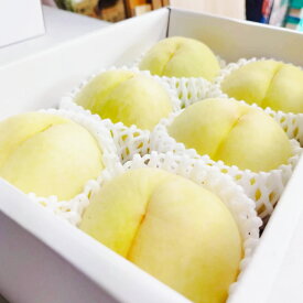 【ふるさと納税】【先行予約】岡山白桃 約1.5kg（6玉前後）【もも 桃 清水白桃 白桃 果物 フルーツ 国産 人気 おすすめ 岡山県 倉敷市】 送料無料【2026年7月上旬～7月下旬迄順次発送予定】