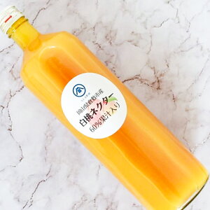 yӂ邳Ɣ[ŁzlN^[i900ml×2{jy lN^[ Zbgi  lC R q~z 