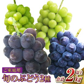 【ふるさと納税】 ぶどう 2026年 先行予約 ご家庭用 旬の ぶどう 2種類 合計2kg以上 産地直送 ブドウ 葡萄 岡山県産 国産 フルーツ 果物 たけまさぶどう園　果物・ぶどう・フルーツ【2026年8月下旬～10月下旬 発送予定】