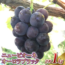 【ふるさと納税】 ぶどう 2026年 先行予約 ニュー ピオーネ 1房と オーロラブラック 1房（1房500g前後） 産地直送 ブドウ 葡萄 岡山県産 国産 フルーツ 果物 ギフト たけまさぶどう園　果物・ぶどう・フルーツ【2026年8月下旬～9月下旬 発送予定】
