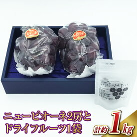 【ふるさと納税】 ぶどう 2026年 先行予約 ニューピオーネ 2房（1房500g前後） &ニューピオーネのドライフルーツ1袋（1袋25g） 産地直送 ブドウ 岡山県産 国産 フルーツ ギフト たけまさぶどう園 果物 【2026年7月下旬～9月下旬 発送予定】