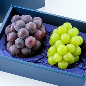 yӂ邳Ɣ[Łzj[sI[lEVC}XJbg 1[500gO e1[ v2[ ϔ Ԃǂ uhE   ʕ ʎ t[c Mtg  蕨 ① RY Y R 