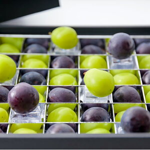 yӂ邳Ɣ[ŁzԂǂ̕ΔiVC}XJbgƃj[sI[l̓I[ubNj 36i114gȏj 1 p Ԃǂ uhE   ʕ ʎ t[c Mtg ①