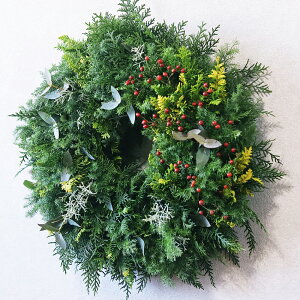 yӂ邳Ɣ[ŁztbV[t Christmas [X a35cm CeA G NX}X NX}X[X ~  Ry2025N11{`12{ \z