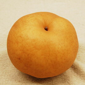 【ふるさと納税】梨 あたご梨 2玉入り（1玉 950g以上） 岡山県産 なし 果物 フルーツ 2025年 先行予約　 果物 フルーツ 和梨 デザート 食後 おやつ 岡山県 倉敷市 送料無料 【2025年11月下旬～12月下旬発送予定】