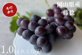 【ふるさと納税】厳選 藤稔 2房 合計1.0kg以上 ぶどう ブドウ 葡萄 産地直送 朝採れ フルーツ くだもの 果物 果実 Kawahara Green Farm 2026年 大粒 完熟 冷蔵 岡山県産 国産 岡山県 倉敷市 送料無料