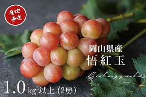 yӂ邳Ɣ[ŁzI g Sr[ 2[ v1.0kgȏ Ԃǂ uhE  Yn ̂ Ԃǂ uhE  t[c  ʕ ʎ Kawahara Green Farm 2025N 嗱 n ① R