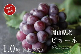 【ふるさと納税】厳選 ニューピオーネ 2房 合計1.0kg以上 産地直送 朝採れ ぶどう ブドウ 葡萄 フルーツ くだもの 果物 果物 Kawahara Green Farm 岡山県産 2026年 完熟 冷蔵 岡山県産 国産 岡山県 倉敷市 送料無料