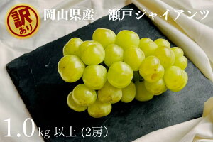 yӂ邳Ɣ[Łz󂠂 ˃WCAc 2[ v1.0kgȏ Yn ̂ Ԃǂ uhE  t[c  ʕ ʕ Kawahara Green Farm 2025N 嗱 n RY Y R q~s 