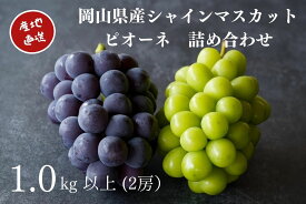 【ふるさと納税】厳選 シャインマスカット・ニューピオーネ 2房 合計1.0kg以上 詰合せ セット 産地直送 朝採れ ぶどう ブドウ 葡萄 フルーツ くだもの 果物 果物 Kawahara Green Farm 2026年 大粒 完熟 岡山県産 国産 岡山県 倉敷市 送料無料