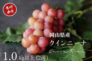 yӂ邳Ɣ[ŁzRY I NC[j[i 2[iv1.0kgȏjYn ̂ Ԃǂ t[c iȊÖ _Ȃ 㖡ς Ȃ 󏭕i Kawahara Green Farm q~s 