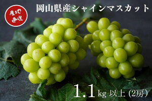 yӂ邳Ɣ[ŁzRY I VC}XJbg 2[iv1.1kgȏjYn ̂ Ԃǂ }XJbg ʕ  t[c iȍ Ȃ R̂Ԃǂ Kawahara Green Farm q~s 