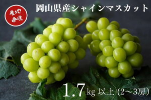 yӂ邳Ɣ[ŁzVC}XJbg 2`3[ v1.7kgȏ Yn ̂ Ԃǂ  VC }XJbg R Kawahara Green Farm 2025N q~s y2025N9{`10{ \z